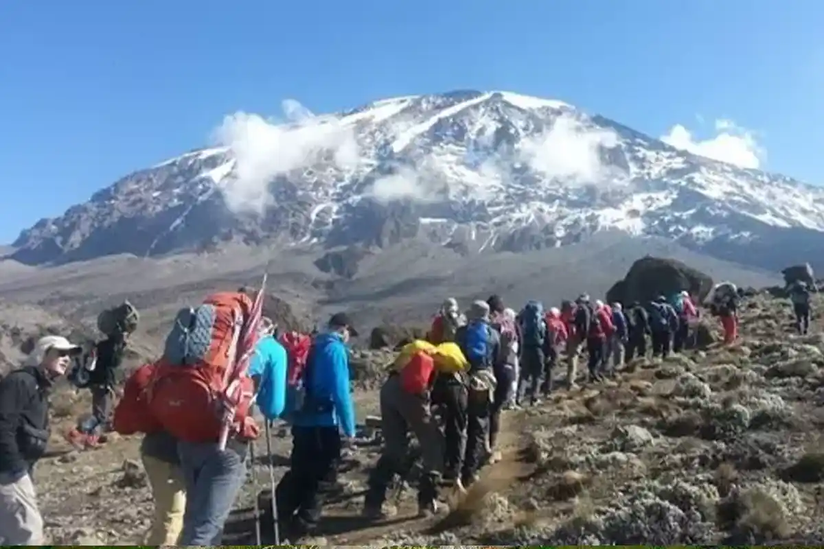 Kilimanjaro