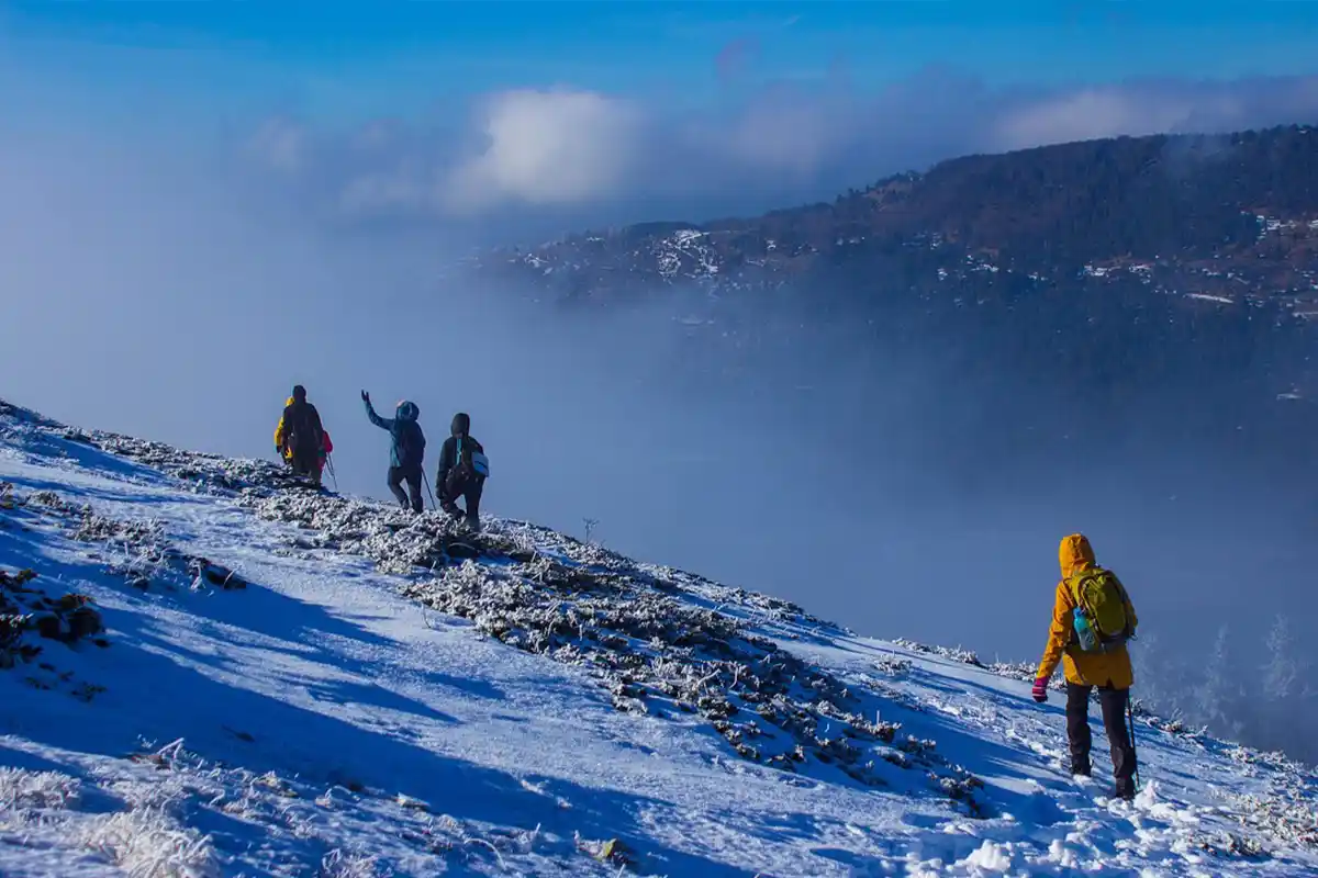 4 Days Safari and Kilimanjaro Trek