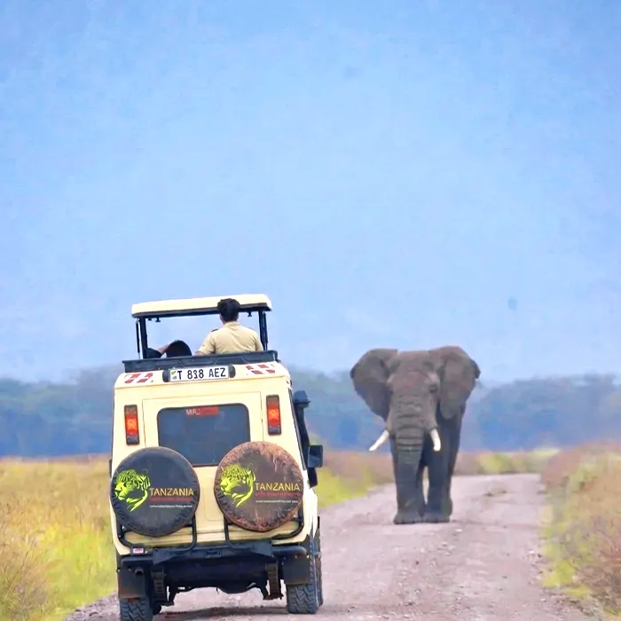 Tanzania Safari Source Tours safari experience in Tanzania
