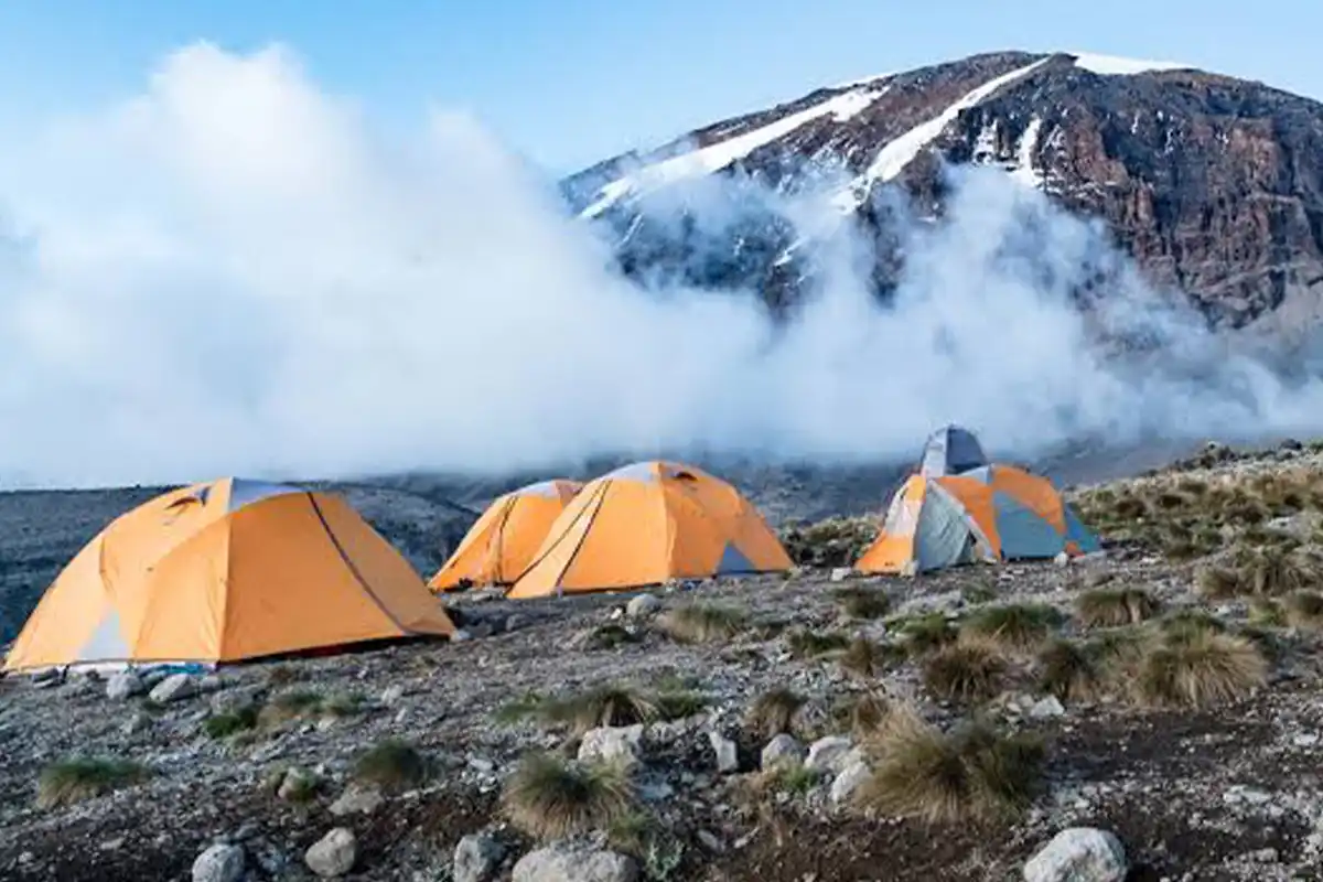 Machame Camp Short Trek