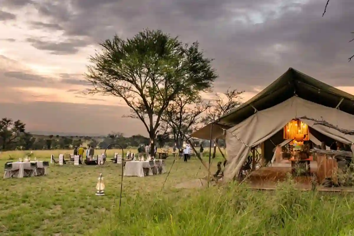 Migration Camp Serengeti