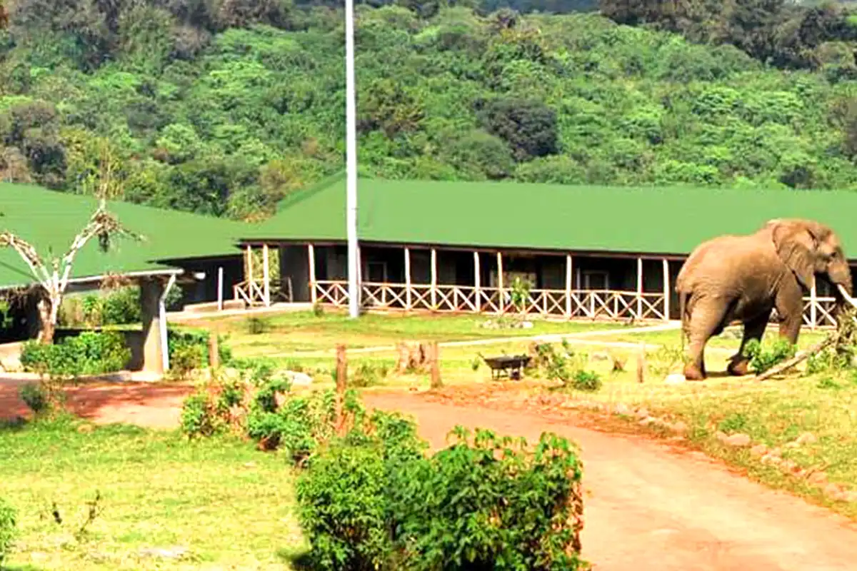 Ngorongoro Rhino Lodge