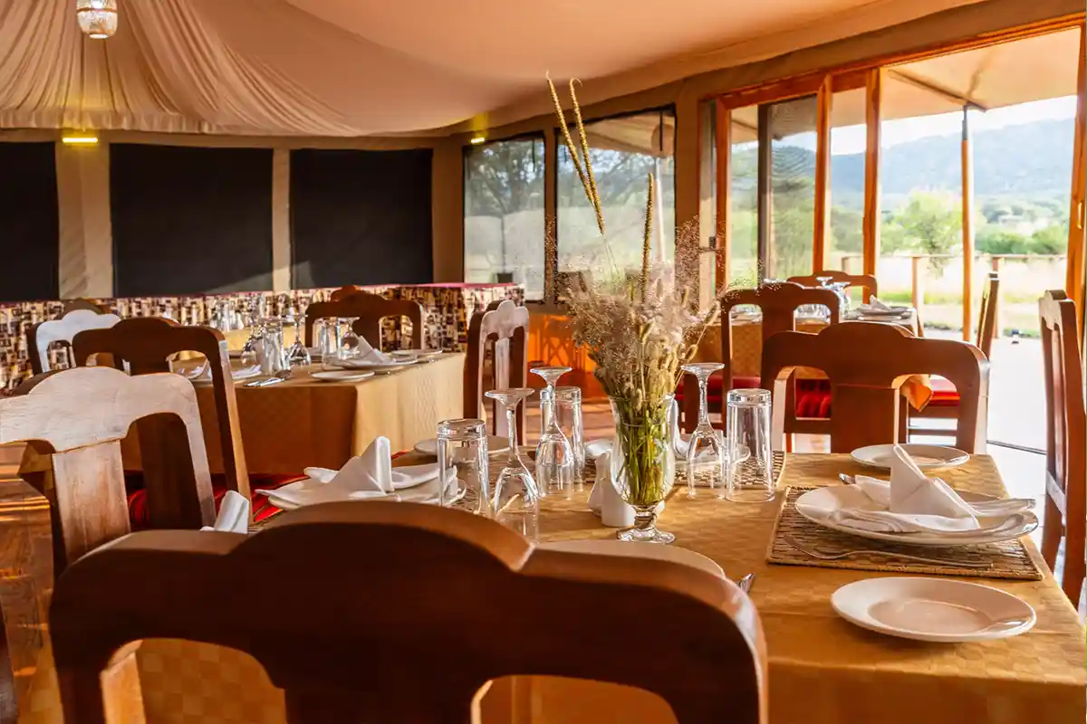 Safari Haven Camp 1