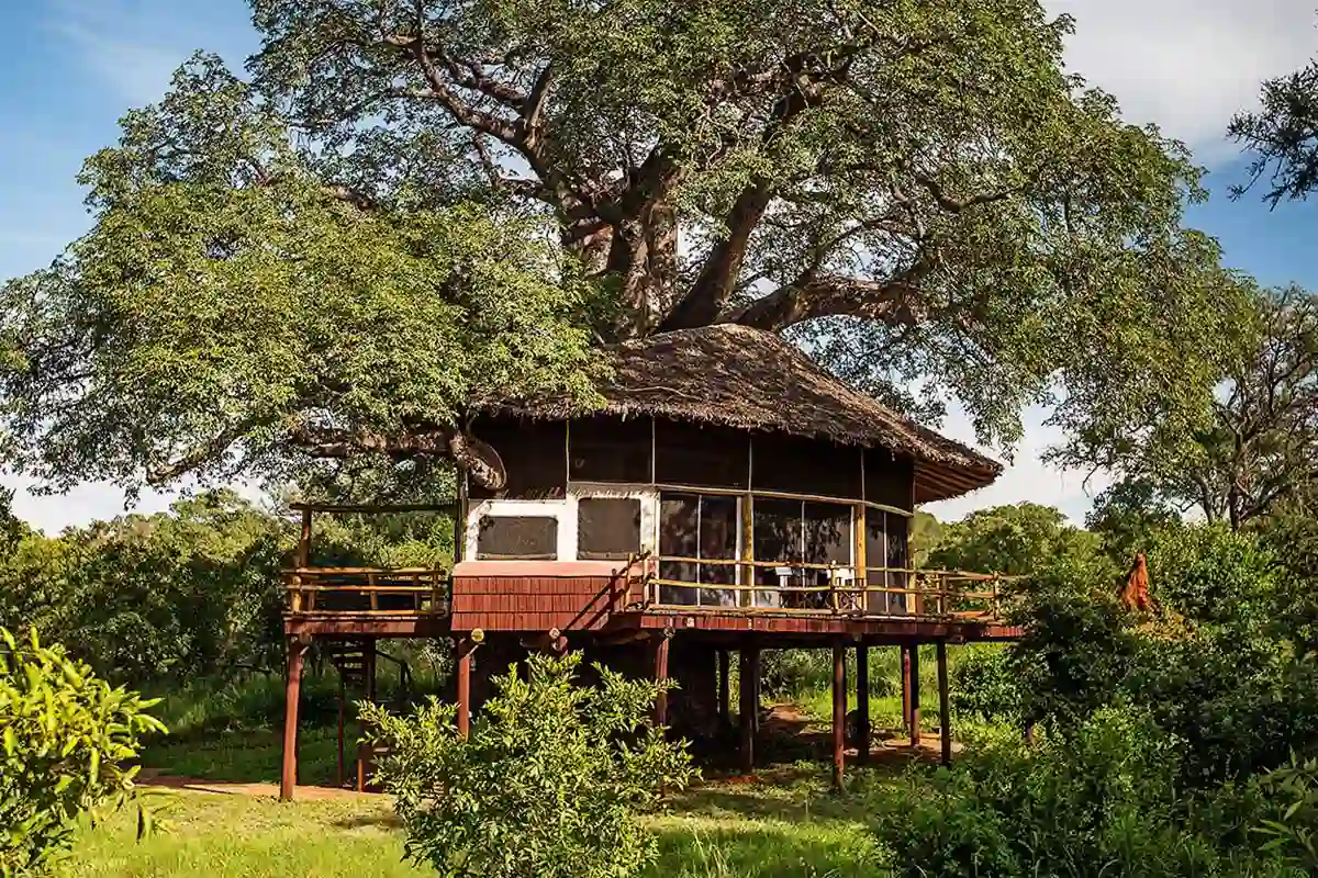 Tarangire Treetops Lodge