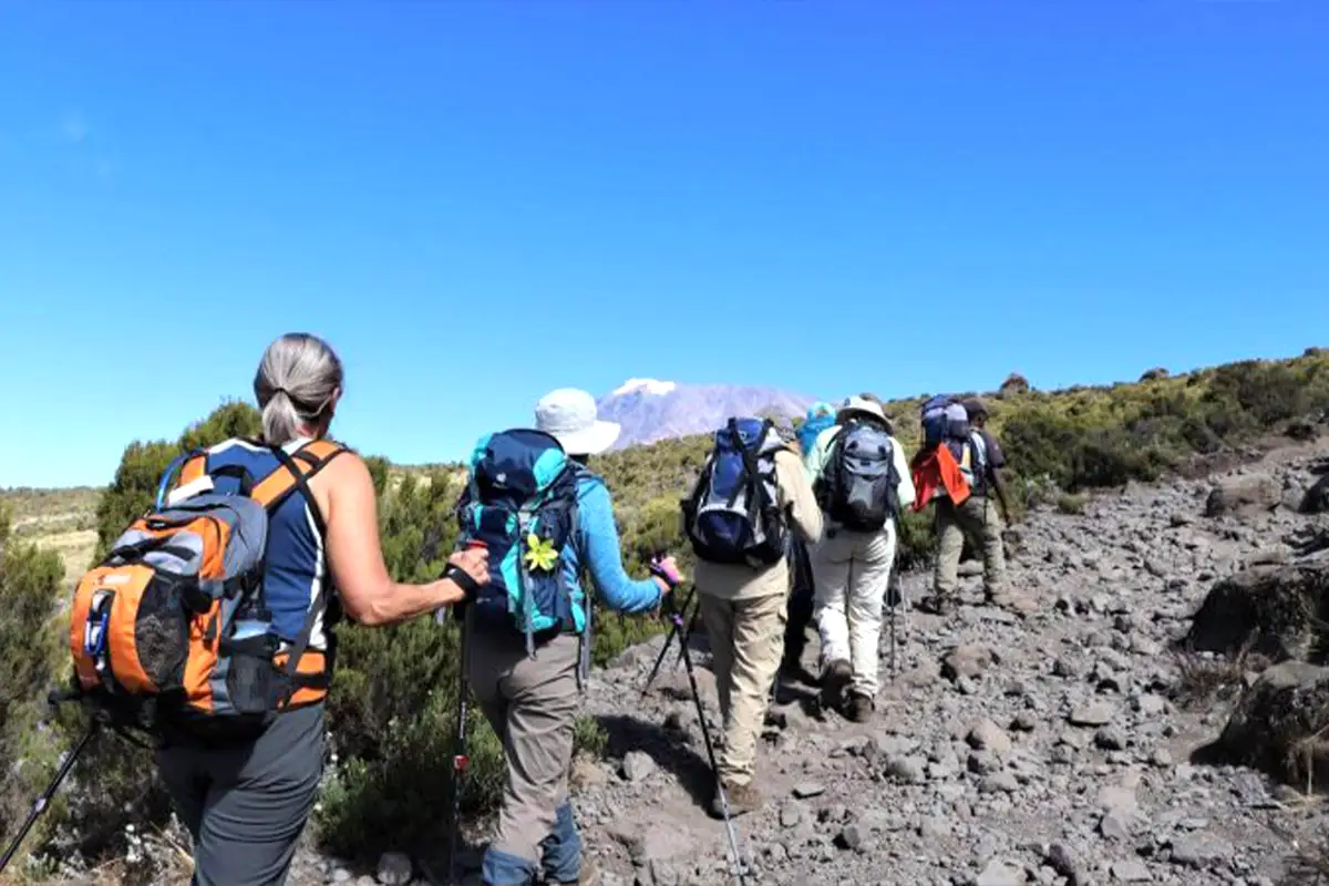 Safari & Kilimanjaro Trek - Ultimate Tanzania Adventure Combo