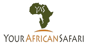 Your African Safari