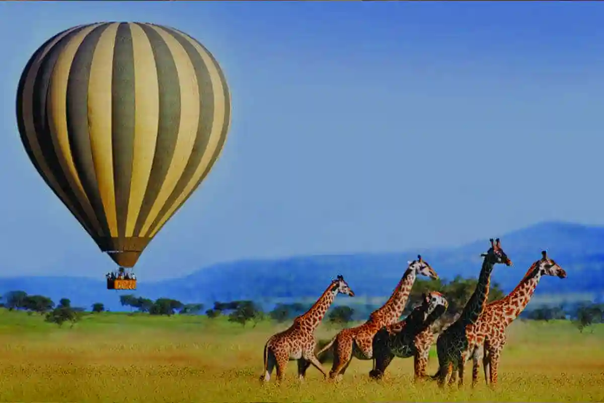 4 Days Luxury Serengeti Fly-In Safari