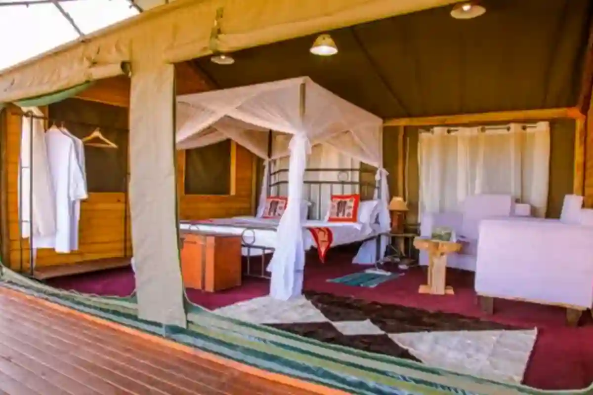 4 Day Mid-Range Lodge Safari