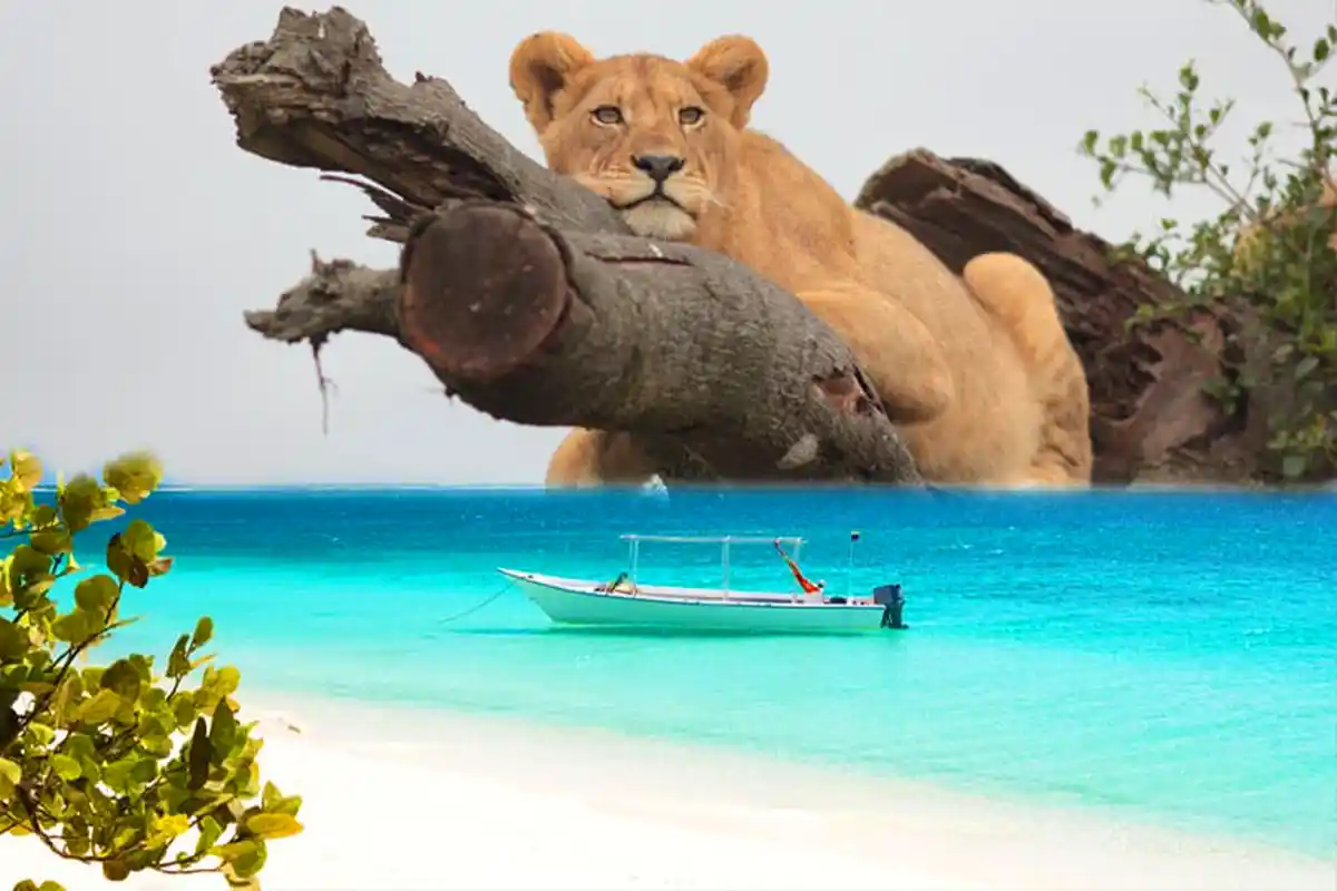 4 Days Culture Luxury Safari from Zanzibar