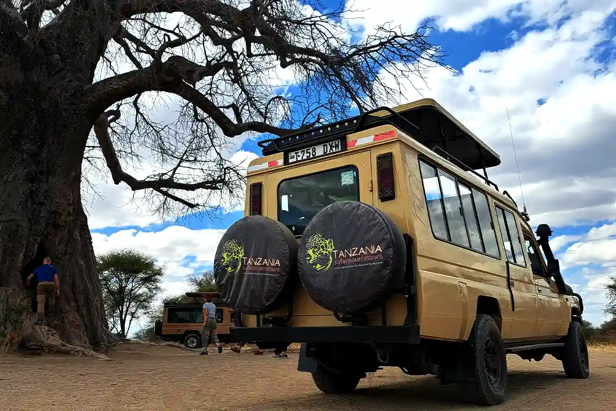 4 Days Serengeti Great Migration Safari